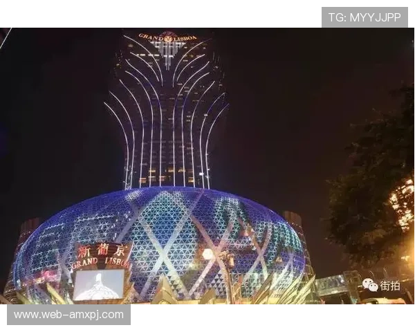 澳门新葡京手机官方地址官方入口详细解析，提供最全面的登录入口信息